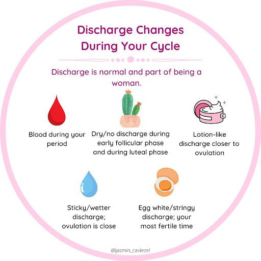 What Your Vaginal Discharge Means at Each Stage of Your Menstrual