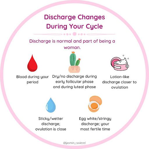 Cervical fluid changes throughout the menstrual cycle